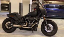 
										HARLEY-DAVIDSON Fat Bob 114 (Fxfbs) 2019 full									