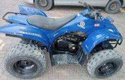 
										YAMAHA Grizzly 350 4X2 Auto (Yfm350A) 2010 full									