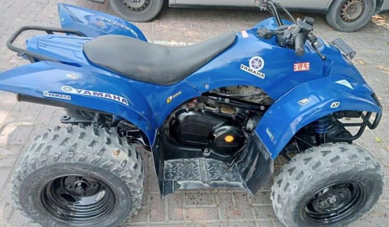 
								YAMAHA Grizzly 350 4X2 Auto (Yfm350A) 2010 full									