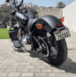 HARLEY-DAVIDSON Softail Slim (Fls) 2017