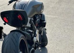 
										DUCATI Diavel 1260 S 2019 full									