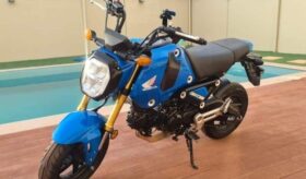 HONDA Grom (Msx125) 2022