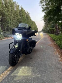 INDIAN Chieftain Dark Horse 2019