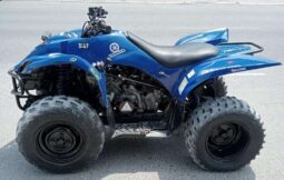 YAMAHA Grizzly 350 4X2 Auto (Yfm350A) 2010