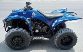 YAMAHA Grizzly 350 4X2 Auto (Yfm350A) 2010