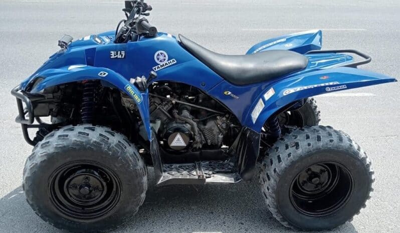 YAMAHA Grizzly 350 4X2 Auto (Yfm350A) 2010