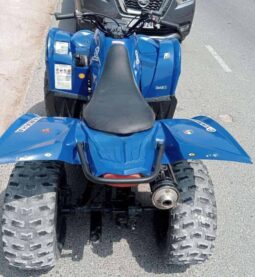 
										YAMAHA Grizzly 350 4X2 Auto (Yfm350A) 2010 full									