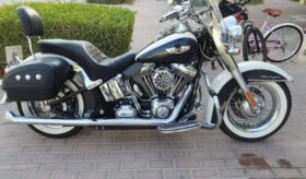 HARLEY-DAVIDSON Softail Deluxe 1690 (Flstn) 2013