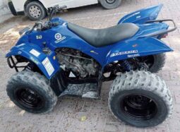 
										YAMAHA Grizzly 350 4X2 Auto (Yfm350A) 2010 full									