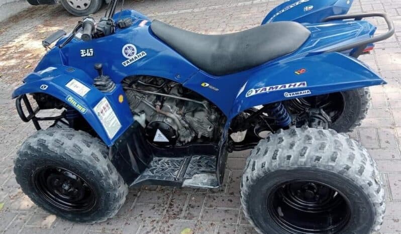 
								YAMAHA Grizzly 350 4X2 Auto (Yfm350A) 2010 full									