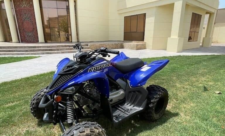 YAMAHA Raptor 90 (Yfm90R) 2022