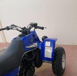 YAMAHA Banshee 350 (Yzf350) 2005