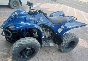 YAMAHA Grizzly 350 4X2 Auto (Yfm350A) 2010