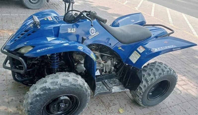 
								YAMAHA Grizzly 350 4X2 Auto (Yfm350A) 2010 full									