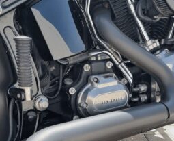 HARLEY-DAVIDSON Softail Slim (Fls) 2017