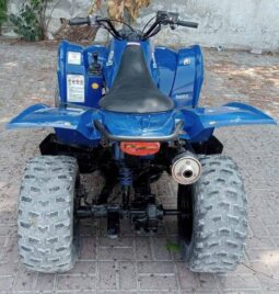 YAMAHA Grizzly 350 4X2 Auto (Yfm350A) 2010