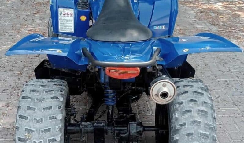 
								YAMAHA Grizzly 350 4X2 Auto (Yfm350A) 2010 full									