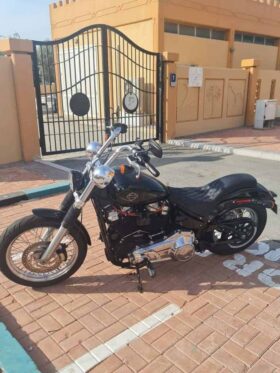 HARLEY-DAVIDSON Softail Standard 1584 Efi (Fxsti) 2020