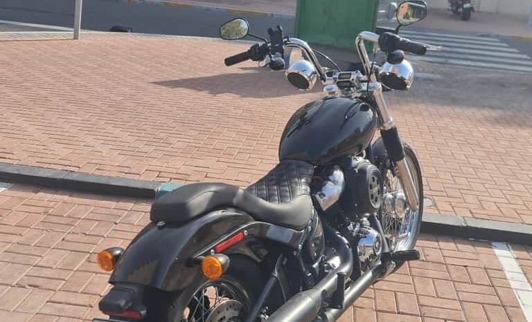 
								HARLEY-DAVIDSON Softail Standard 1584 Efi (Fxsti) 2020 full									