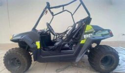 POLARIS Rzr 170 2017