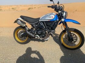 DUCATI Scrambler Desert Sled 2022