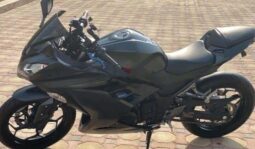 KAWASAKI Ninja 300 (Ex300A) 2016