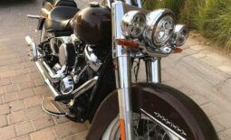 HARLEY-DAVIDSON Deluxe 107 (Flde) 2019