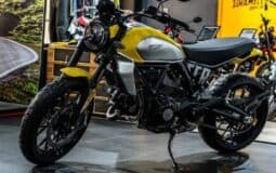 DUCATI Scrambler Icon 2023