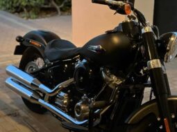 
										HARLEY-DAVIDSON Softail Slim (Fls) 2020 full									