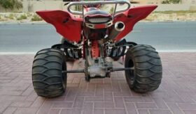 YAMAHA Raptor 700 Se (Yfm700Rse) 2009