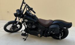 
										HARLEY-DAVIDSON Night Train 1584 (Fxstb) 2007 full									