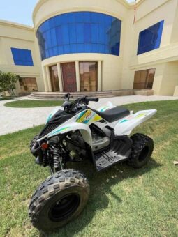 YAMAHA Raptor 90 (Yfm90R) 2022