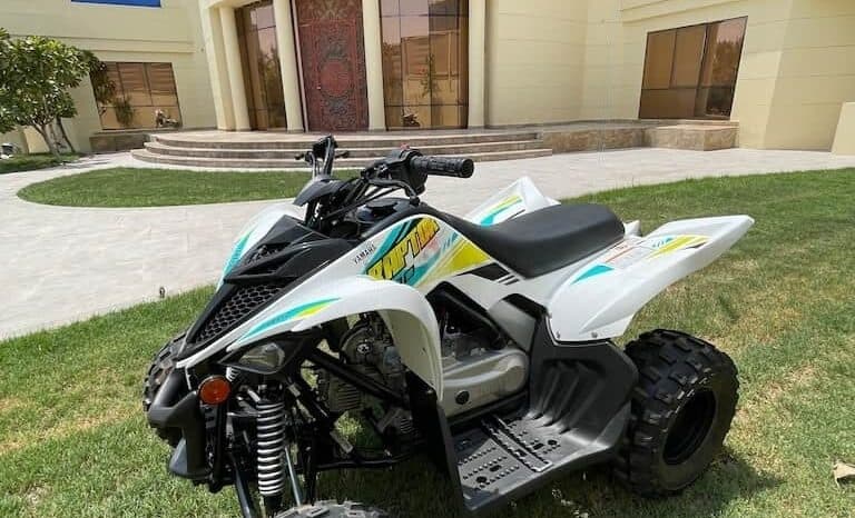 YAMAHA Raptor 90 (Yfm90R) 2022