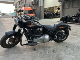 HARLEY-DAVIDSON Softail Slim (Fls) 2020