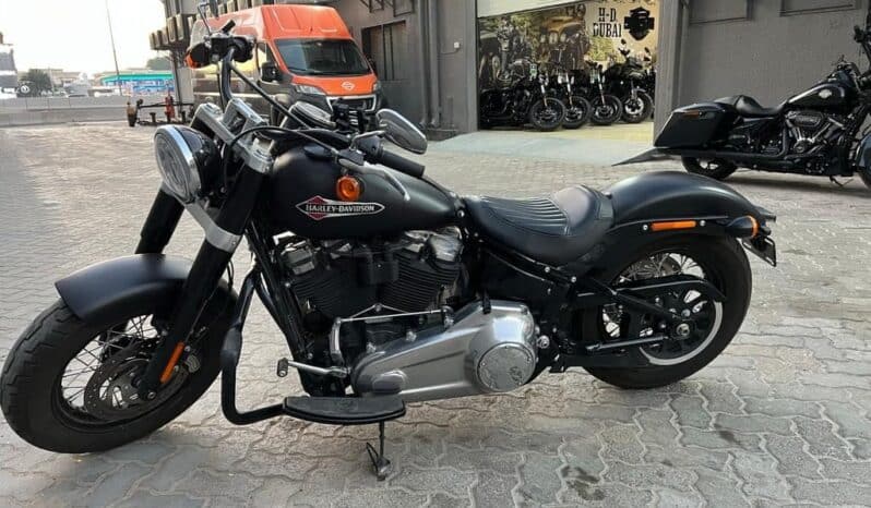 HARLEY-DAVIDSON Softail Slim (Fls) 2020