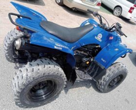 YAMAHA Grizzly 350 4X2 Auto (Yfm350A) 2010