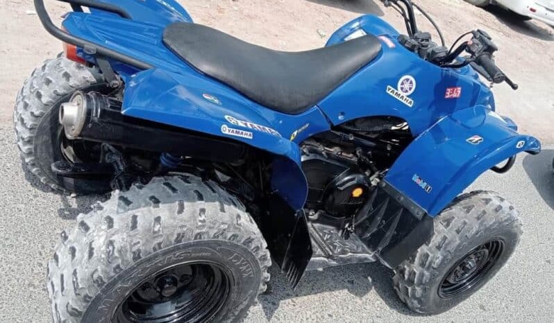 
								YAMAHA Grizzly 350 4X2 Auto (Yfm350A) 2010 full									