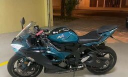 
										KAWASAKI Ninja Zx-6R (636) 2021 full									