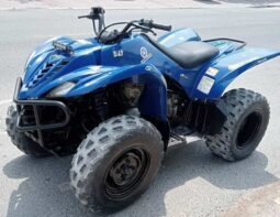 
										YAMAHA Grizzly 350 4X2 Auto (Yfm350A) 2010 full									