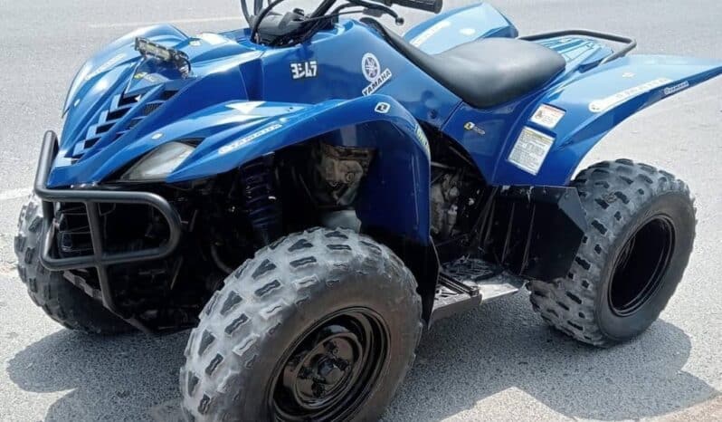 
								YAMAHA Grizzly 350 4X2 Auto (Yfm350A) 2010 full									