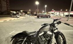 
										HARLEY-DAVIDSON Forty-Eight (Xl1200X) 2014 full									