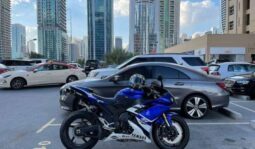 
										YAMAHA Yzf-R1 2008 full									