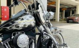 
										HARLEY-DAVIDSON Heritage Softail Classic 1450 (Flstc) 2000 full									