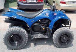 YAMAHA Grizzly 350 4X2 Auto (Yfm350A) 2010