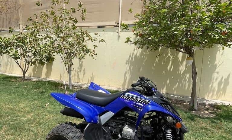 
								YAMAHA Raptor 90 (Yfm90R) 2022 full									