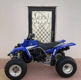 YAMAHA Banshee 350 (Yzf350) 2005