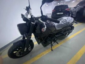 BENELLI Leoncino 2018