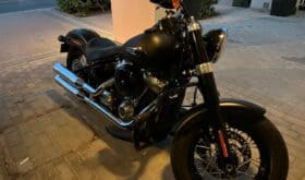 HARLEY-DAVIDSON Softail Slim (Fls) 2020