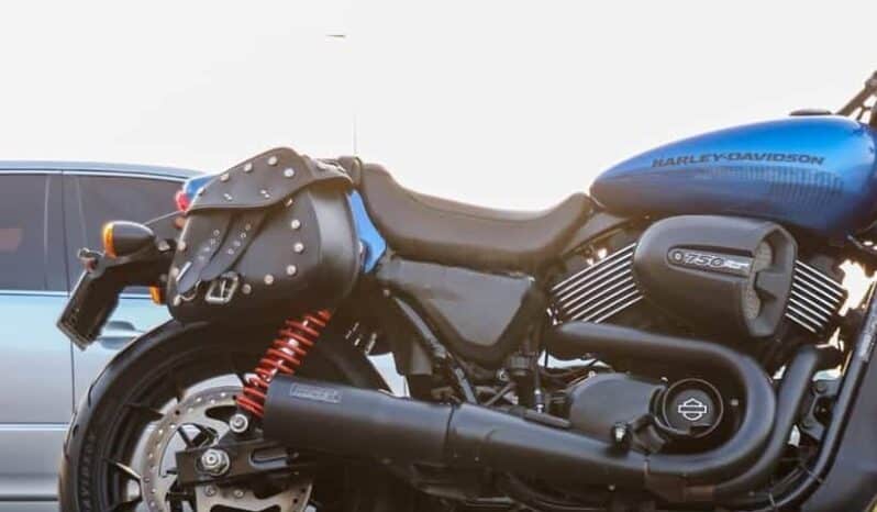 
								HARLEY-DAVIDSON Street Rod (Xg750A) 2018 full									