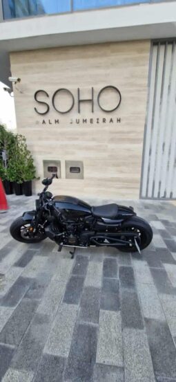 
										HARLEY-DAVIDSON Sportster S 2021 full									